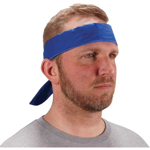 Chill-Its 6702 Cooling Headband with Embedded Polymers & Tie Closure, Blue Moffatt Supply & Specialties