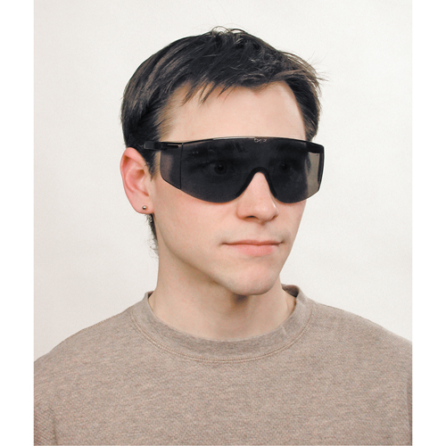 Lunettes de s&eacute;curit&eacute; Tacoma, Lentille Grise/fum&eacute;e, Anti-&eacute;gratignures, ANSI Z87+ Moffatt Supply & Specialties