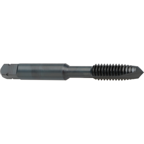 Taraud &agrave; entr&eacute;e h&eacute;licoidale, Acier rapide au cobalt, Filet de 8-32, 2-1/8" l Moffatt Supply & Specialties