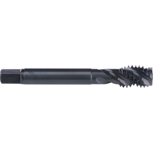 Taraud &agrave; cannelure en spirale 45°, Acier rapide au cobalt, Filet de 3/4"-10, 4-1/4" l Moffatt Supply & Specialties