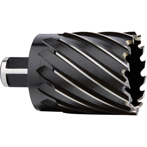 Couteau annulaire, Diam&egrave;tre de 2", Acier rapide, Profondeur de la coupe de 2", Tige 3/4" Moffatt Supply & Specialties