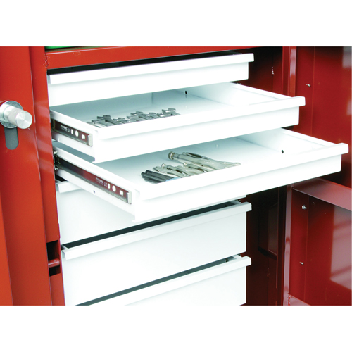 Rolling Work Bench, 49-7/8" W x 40-5/8" H x 26-7/8" D, 24.6 Cubic Feet Capacity Moffatt Supply & Specialties
