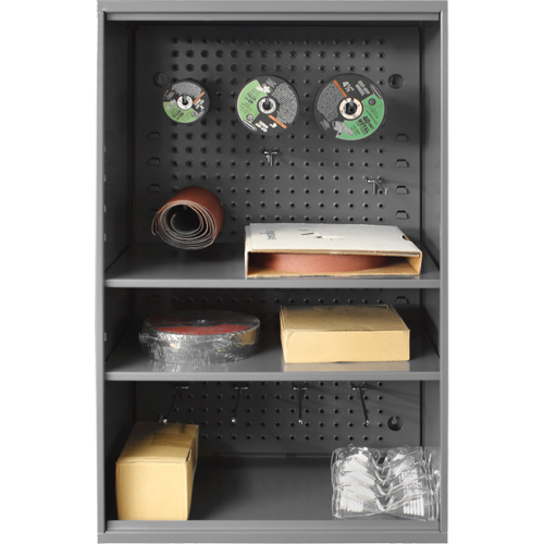 Armoire d'entreposage de produits abrasifs avec panneau perfor&eacute;, Acier, 19-7/8" x 14-1/4" x 32-3/4", Gris Moffatt Supply & Specialties