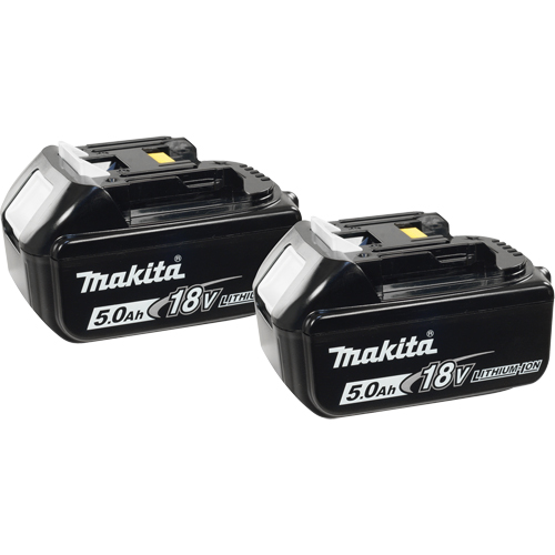 Blocs-piles, Lithium-ion, 18 V, 5,0 A Moffatt Supply & Specialties