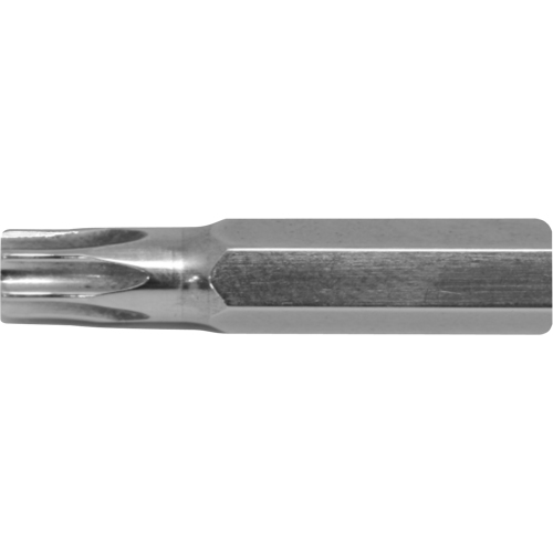 Embout de rechange pour tournevis multi embouts Stubby, Torx, 15, Prise 1/4" Moffatt Supply & Specialties