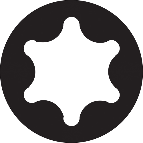 Embout de rechange pour tournevis multi embouts Sixpac Plus, Torx, 20, Prise 1/4" Moffatt Supply & Specialties