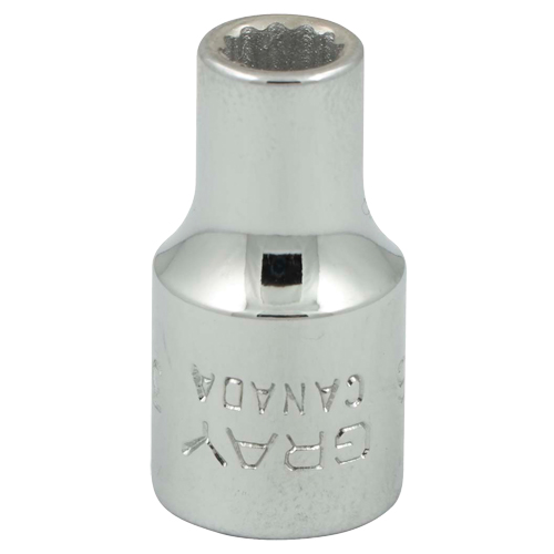 Socket, 3/16", 1/4" Drive, 12 Points Moffatt Supply & Specialties