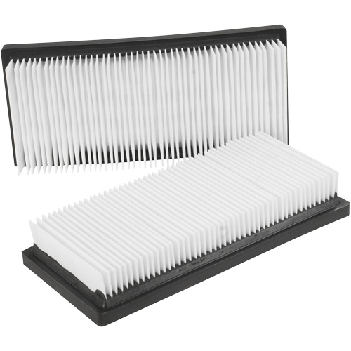 Main Flat Filters, Cartridge, Fits 12 US gal. Moffatt Supply & Specialties