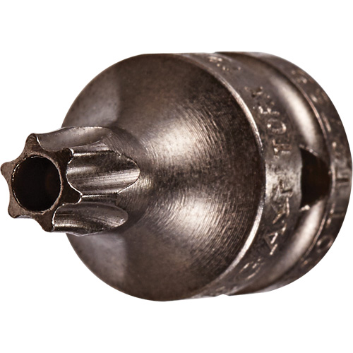 Socket Bit, Torx&reg; Tamper, 8 x 3/4" L, 1/4" Drive Moffatt Supply & Specialties