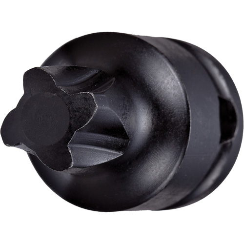 Socket Bit, Mortorq&reg; Super, 4 x 1-1/4" L, 3/8" Drive Moffatt Supply & Specialties