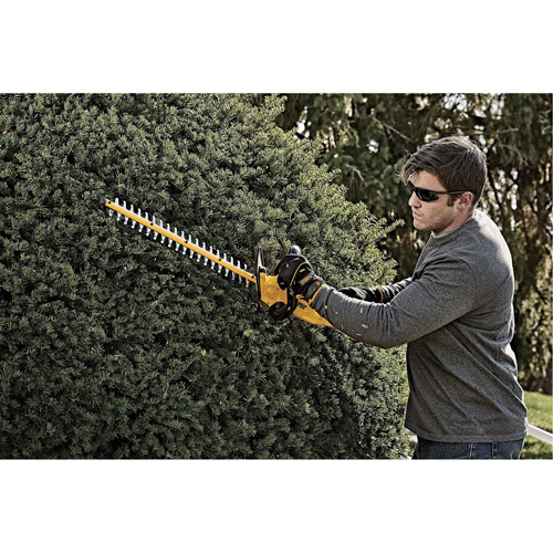 Taille-haie sans fil Max, 22", 20 V, &agrave; pile Moffatt Supply & Specialties
