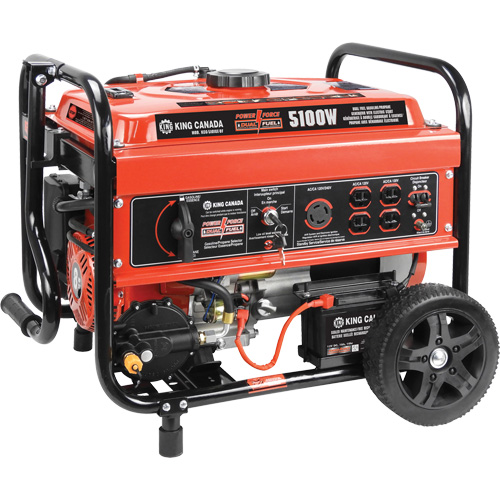 Gasoline/Propane Generator with Electric Start Moffatt Supply & Specialties