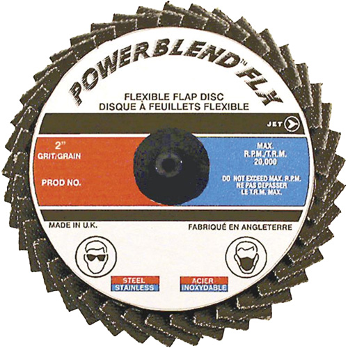 Disques &agrave; lamelles flexibles — pour acier/acier inoxydable/aluminium, 3" x Type R, Grain Z80, Alumine de zirconium Moffatt Supply & Specialties