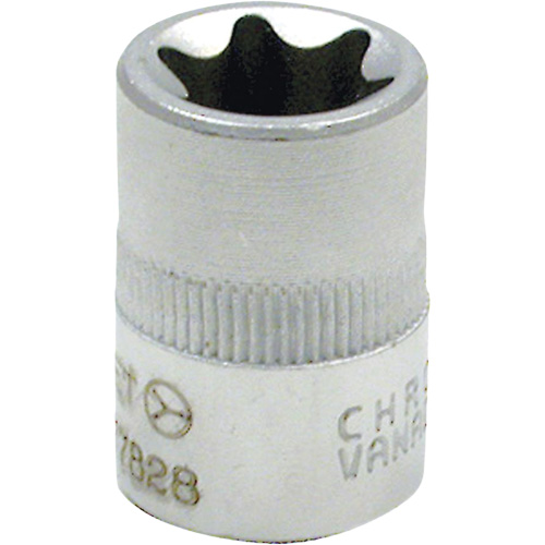 Douille externe Torx E-5 Moffatt Supply & Specialties
