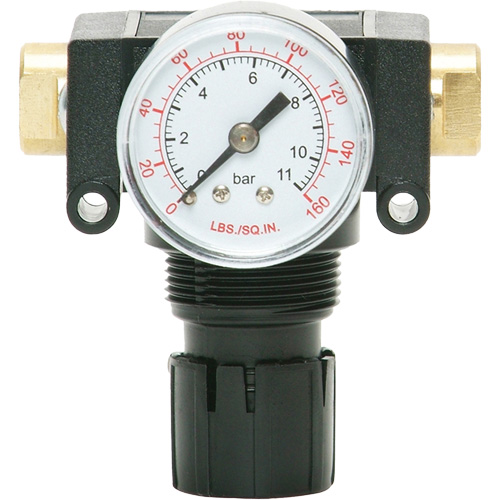 MODULAIR 200 Acetal Piston Regulator, 1/4" NPT, 150 PSI Max. PSI, In Line/Modular Moffatt Supply & Specialties