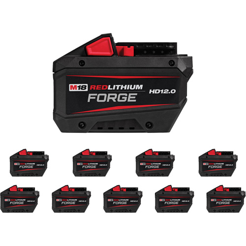 REDLITHIUM FORGE HD12.0 Battery, Lithium-Ion, 18 V, 12 Ah Moffatt Supply & Specialties