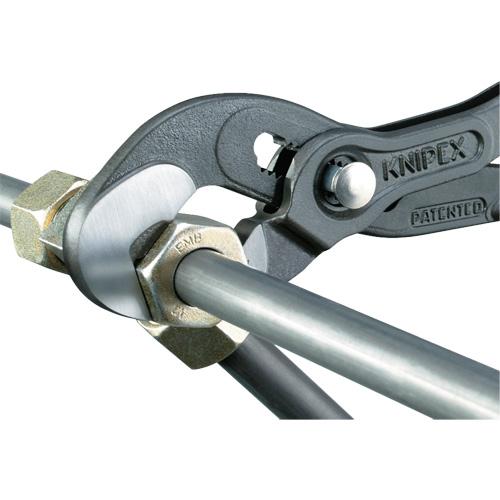 Pince Raptor, 10" Moffatt Supply & Specialties