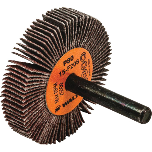 Disques &agrave; lamelles - Meules &agrave; lamelles Coolcut, Oxyde d'aluminium, Grain 80, 2" x 3/8" x 1/4" Moffatt Supply & Specialties