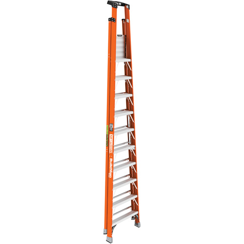 Safespace Platform Step Ladder, 10', 300 lbs. Cap. Moffatt Supply & Specialties