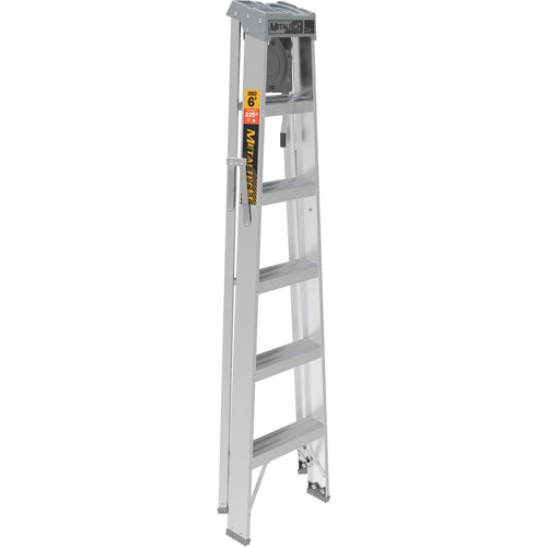Step Ladder with Paint Tray, 6', Aluminum, 225 lbs. Capacity, Type 2 Moffatt Supply & Specialties