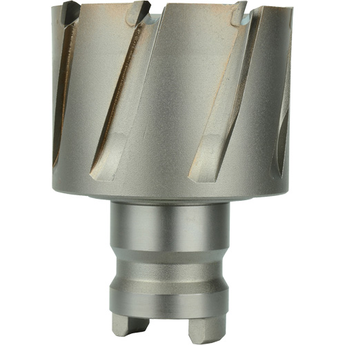 Fraise avec tenon &agrave; changement rapide Drive Hawg, Diam&egrave;tre de 3/4", Acier, Profondeur de la coupe de 1" Moffatt Supply & Specialties