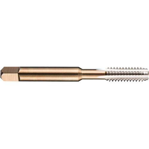 Taraud machine pour tuyau, 10-1,5, 3 cannelures, 80 mm lo, Conique, Acier rapide Moffatt Supply & Specialties