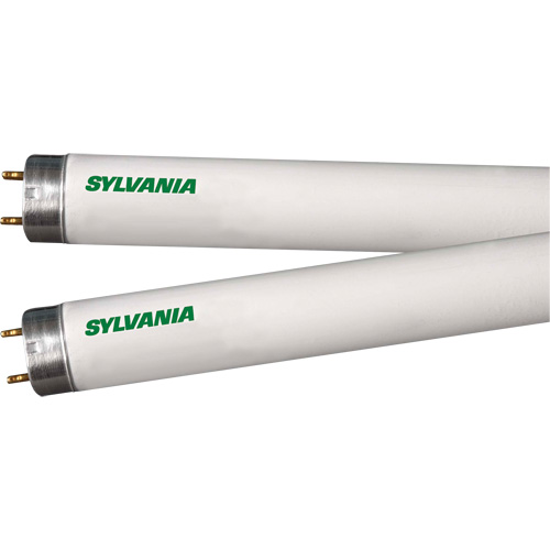 Lampes fluorescentes, 32 W, T8, 4100 K, Longueur de 48" Moffatt Supply & Specialties