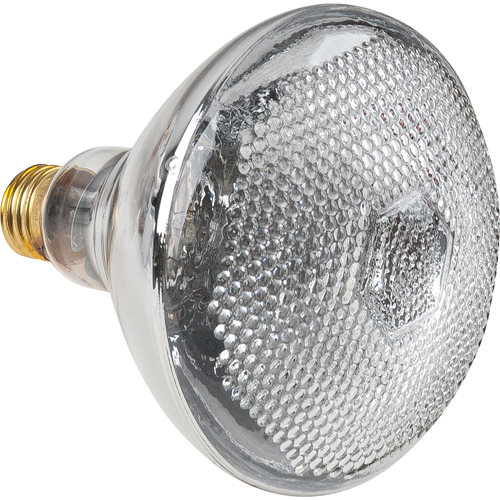 Economy Line Incandescent Lamps Moffatt Supply & Specialties