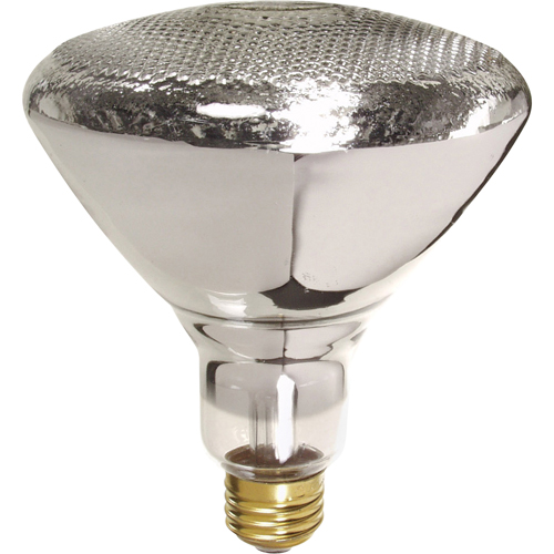 Economy Line Incandescent Lamps Moffatt Supply & Specialties
