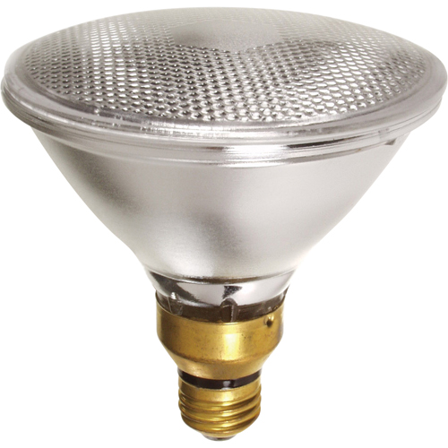 Economy Line Lamps Moffatt Supply & Specialties