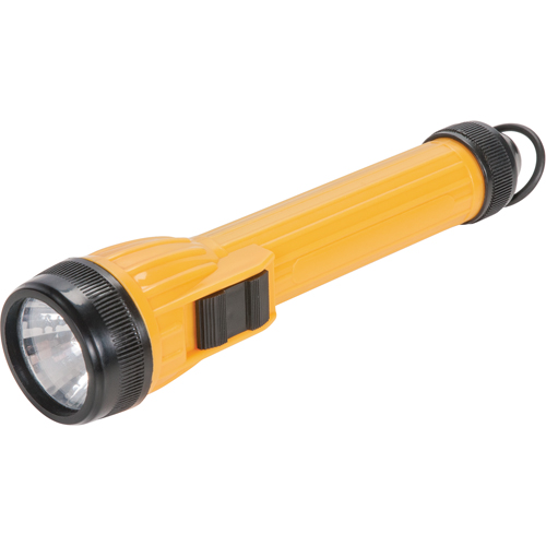 Lampe de poche AFL100, DEL, 28 lumens, Piles AA Moffatt Supply & Specialties
