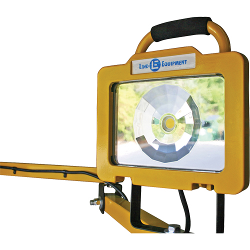 Heavy-Duty Dock Light, 40" Arm, 38 W, LED Lamp, Metal Moffatt Supply & Specialties