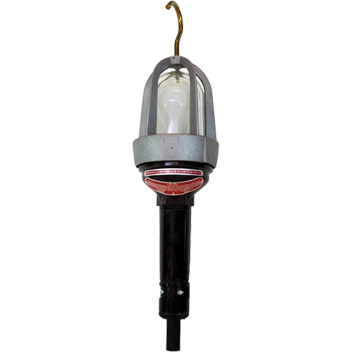 Baladeuses pour emplacements dangereux, DEL, 20 W, 2400 Lumens Moffatt Supply & Specialties