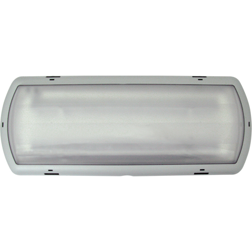 Luminaire de secours Tempesta, Plastique, DEL, 120 - 347 V Moffatt Supply & Specialties