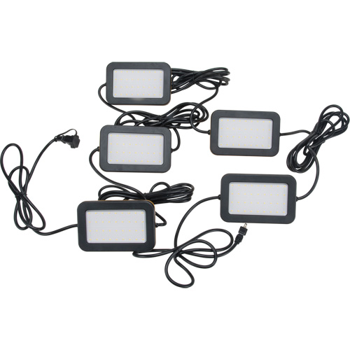 Chaîne de baladeuses DEL, 5 Lumi&egrave;res, 50' lo, Boîtier en Plastique Moffatt Supply & Specialties