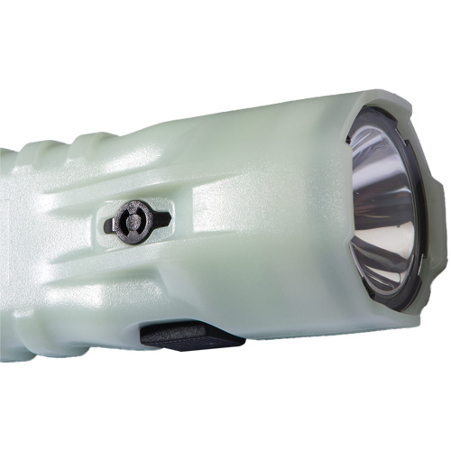 Lampe de poche, DEL, 378 lumens, Piles AA Moffatt Supply & Specialties