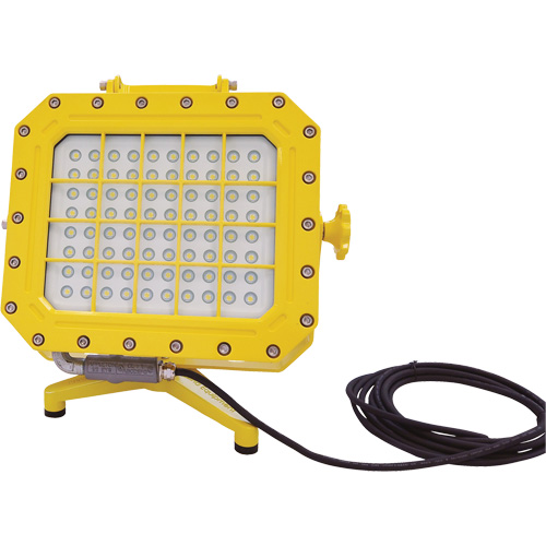 Explosion Proof Floodlight with Floor Stand, LED, 40 W, 5600 Lumens, Aluminum Housing Moffatt Supply & Specialties
