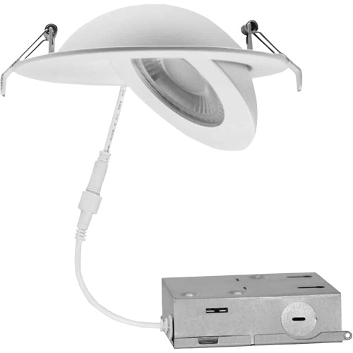 Luminaire &agrave; cardan, DEL, 120 V, 9 W Moffatt Supply & Specialties