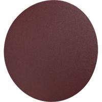 PSA Cloth Disc 248D, 12" Dia., 36 Grit, Aluminum Oxide Moffatt Supply & Specialties