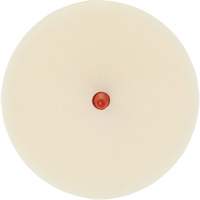 Scotch-Brite Moulding Adhesive & Stripe Removal Disc, 7501, 4" Dia. Moffatt Supply & Specialties