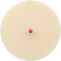 Scotch-Brite Moulding Adhesive and Stripe Removal Disc 7502, 6" Dia. Moffatt Supply & Specialties