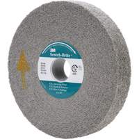 Meule d'&eacute;barbage EXL Scotch-Brite, 6" x 1", Arbre de 1" Moffatt Supply & Specialties