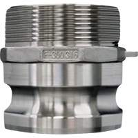 Accouplement &agrave; came et rainure, Acier inoxydable, Type F, 3/4", NPT m&acirc;le, 250 PSI Moffatt Supply & Specialties