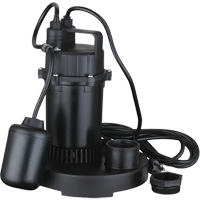 Thermoplastic Submersible Sump Pump, 2560 GPH, 115 V, 4.6 A, 1/3 HP Moffatt Supply & Specialties