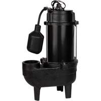 Pompe d'&eacute;gout en fonte, 120 V, 9,5 A, 6000 gal./h, 1/2 CV Moffatt Supply & Specialties