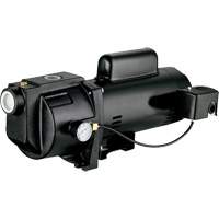 Pompe &agrave; jet en fonte &agrave; double tension pour puit peu profond, 115 V/230 V, 1260 gal./h, 1 CV Moffatt Supply & Specialties