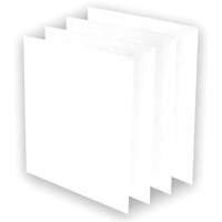 Pr&eacute;-filtres AeraMax Pro AM3 ou AM4, 13,75" la x 0,13" p x 14,38" h Moffatt Supply & Specialties