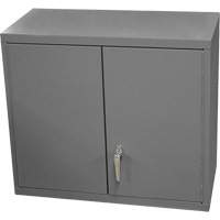 Armoire murale, 27" h x 13-11/16" la x 35-7/8" p, 2 tablettes, Acier, Gris Moffatt Supply & Specialties