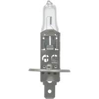 64155 Basic Automotive Bulb, Halogen, 78 W, Off White Moffatt Supply & Specialties