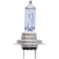 H7 SilverStar&reg; zXe Headlight Bulb, Halogen/HID, 56 W, White Moffatt Supply & Specialties